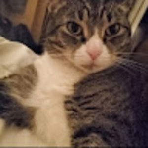 Meet your Posher, Holly